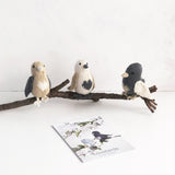 Lovebirds Kit