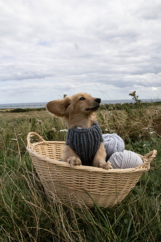 Teal Doggie Coat Kit