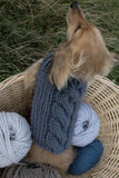 Teal Doggie Coat Kit - The Knitter's Yarn