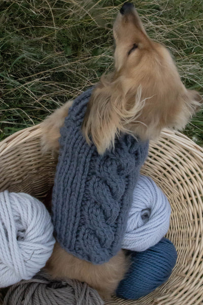Teal Doggie Coat Kit - The Knitter's Yarn